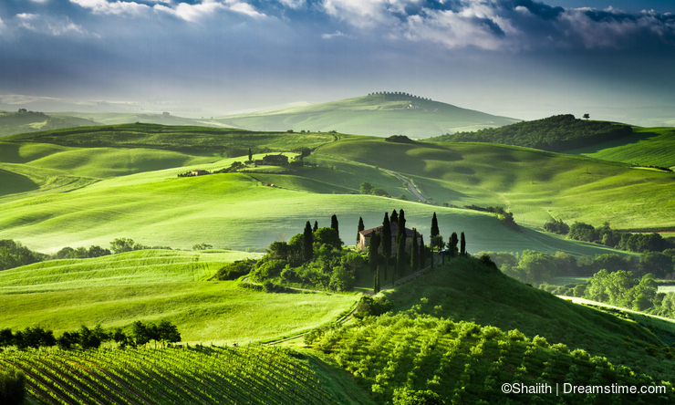 Tuscany rolling hills and vineyards